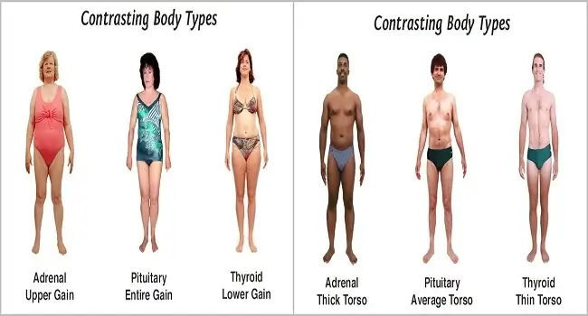 What is Slim Thick Body Type How to Get the Slim Thick Body Shape