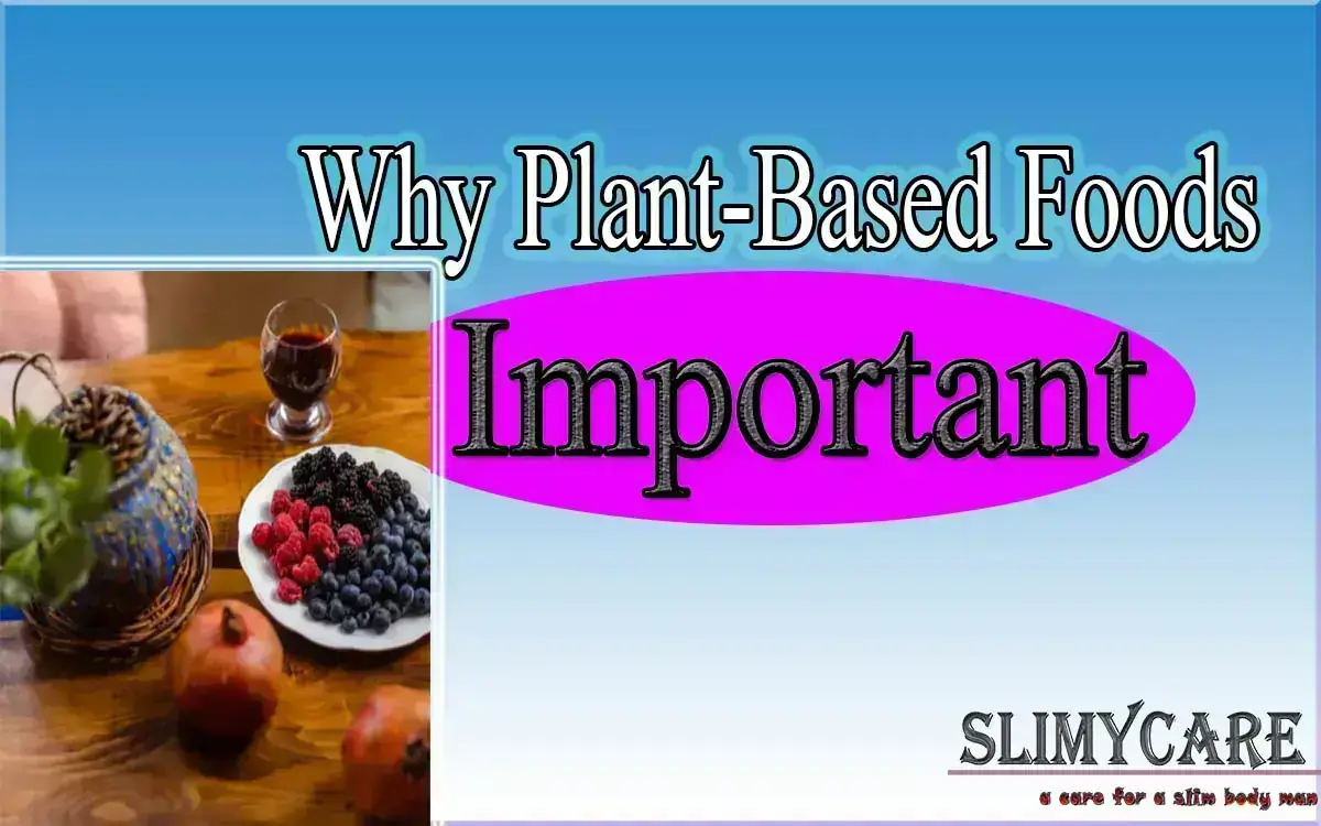 Why You Should Eat More Plant-Based Foods For Better Health